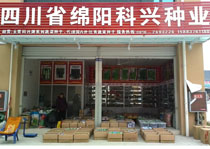 四川省綿陽科興種業有限公司